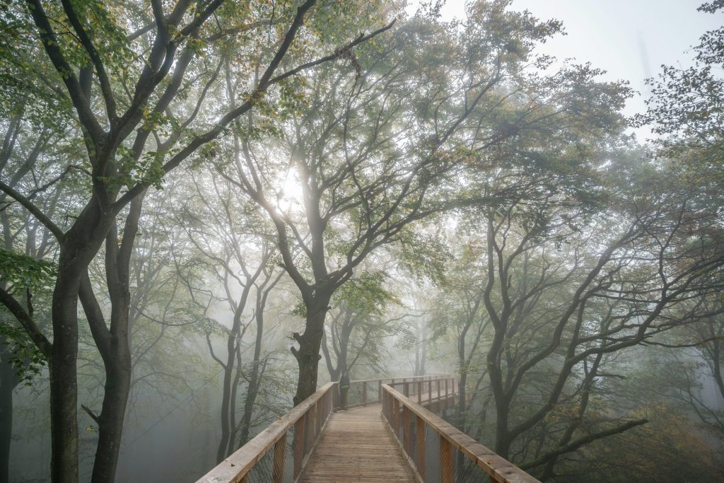 braune Holzbrücke