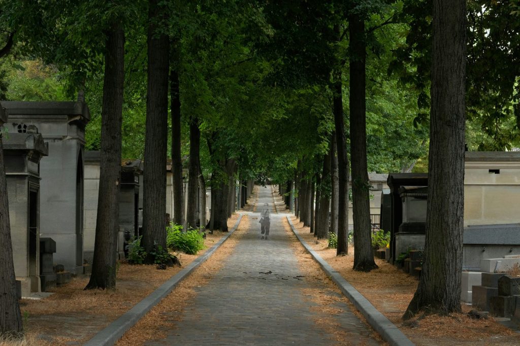 Eine Person geht einen von Bäumen gesäumten Weg auf einem Friedhof entlang.